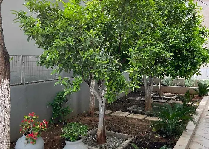 Super Renovated Maisonette - σούπερ ανακαινισμένη μεζονέτα Dom wakacyjny Filiatra